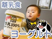 赤ちゃんがヨーグルトを食べられる時期と安心なヨーグルト選びの基本
